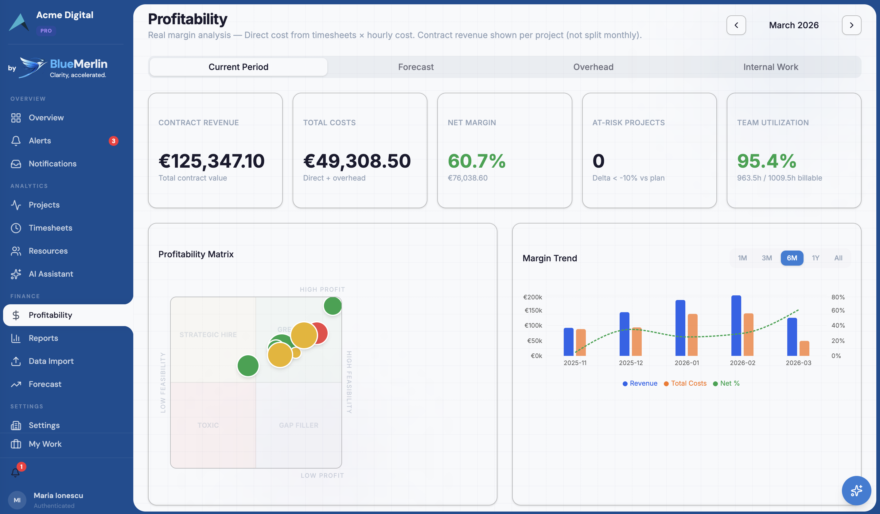 Project Profitability